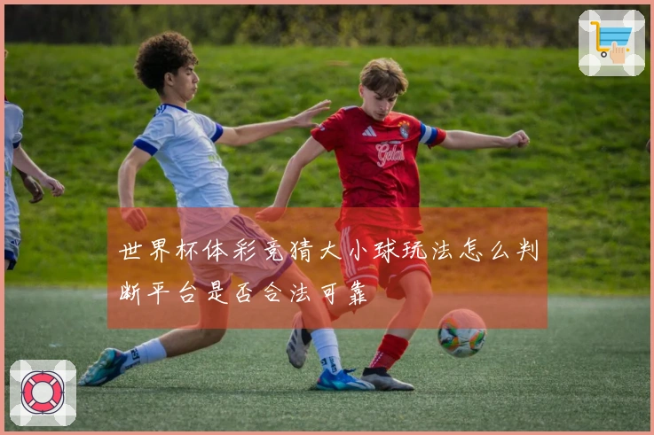 世界杯体彩竞猜大小球玩法怎么判断平台是否合法可靠