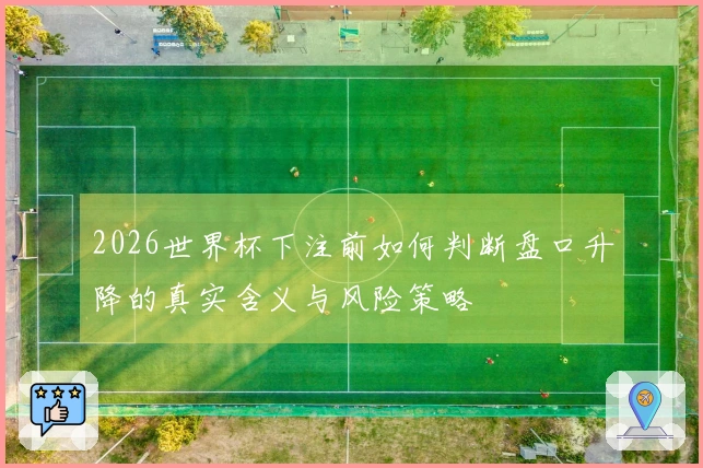 2026世界杯下注前如何判断盘口升降的真实含义与风险策略