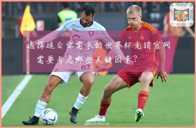 选择适合你需求的世界杯竞猜官网，需要考虑哪些关键因素？