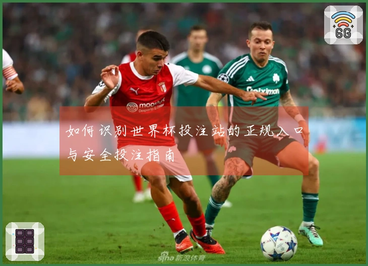 如何识别世界杯投注站的正规入口与安全投注指南