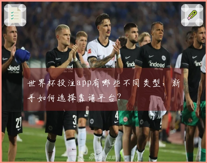 世界杯投注app有哪些不同类型，新手如何选择靠谱平台？