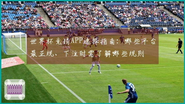 世界杯竞猜APP选择指南：哪些平台最正规、下注时需了解哪些规则