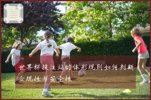 世界杯投注站的体彩规则如何判断合规性与安全性