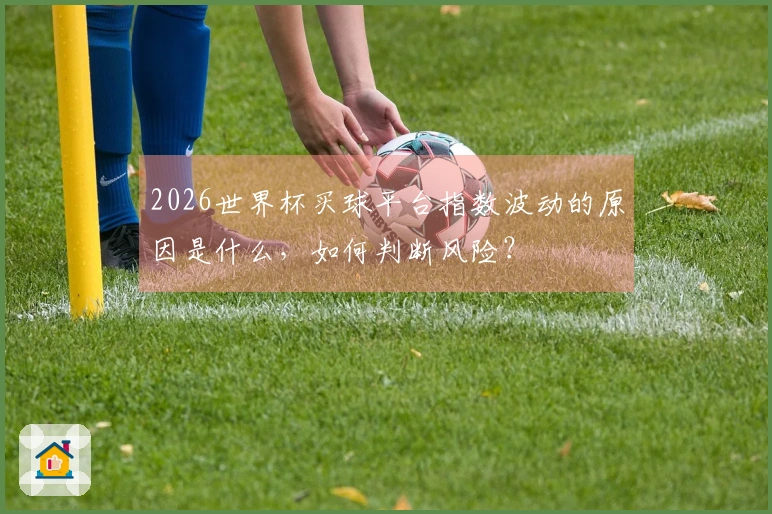 2026世界杯买球平台指数波动的原因是什么，如何判断风险？