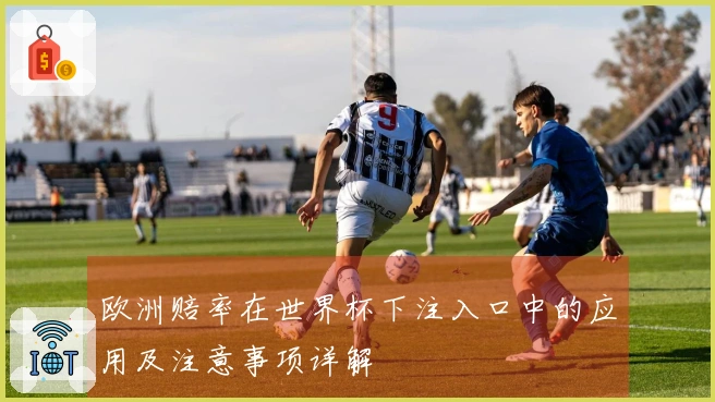 欧洲赔率在世界杯下注入口中的应用及注意事项详解