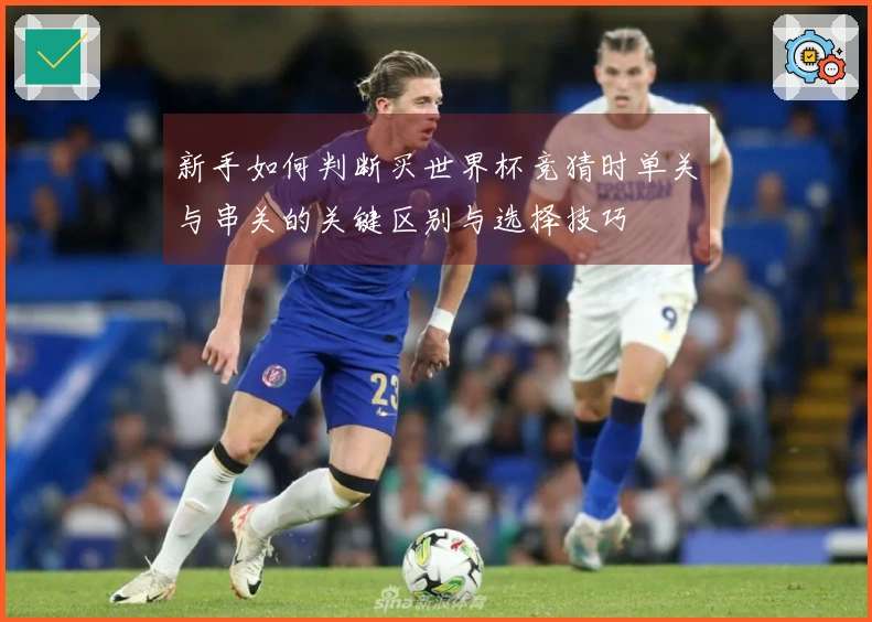 新手如何判断买世界杯竞猜时单关与串关的关键区别与选择技巧