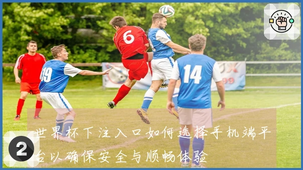 世界杯下注入口如何选择手机端平台以确保安全与顺畅体验