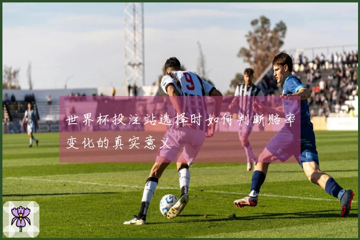 世界杯投注站选择时如何判断赔率变化的真实意义