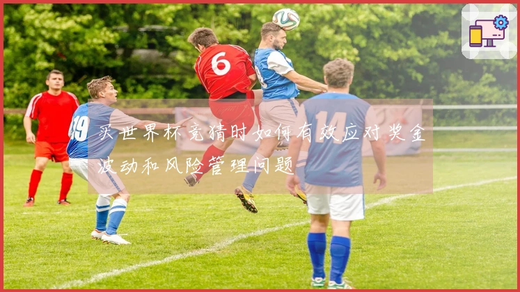 买世界杯竞猜时如何有效应对奖金波动和风险管理问题