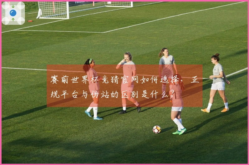 赛前世界杯竞猜官网如何选择，正规平台与伪站的区别是什么？