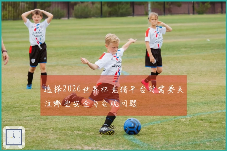 选择2026世界杯竞猜平台时需要关注哪些安全与合规问题