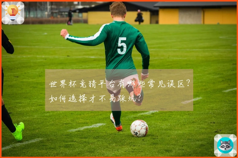 世界杯竞猜平台有哪些常见误区？如何选择才不易踩坑？
