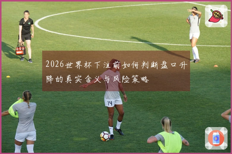 2026世界杯下注前如何判断盘口升降的真实含义与风险策略