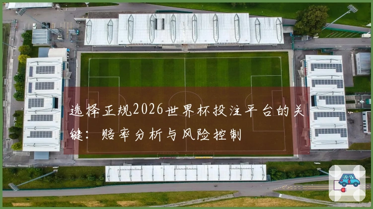 选择正规2026世界杯投注平台的关键：赔率分析与风险控制
