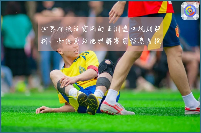 世界杯投注官网的亚洲盘口规则解析，如何更好地理解赛前信息与投注策略