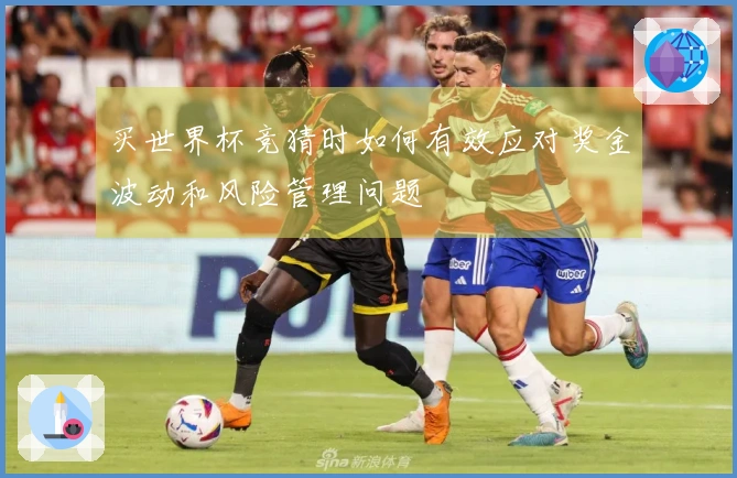 买世界杯竞猜时如何有效应对奖金波动和风险管理问题