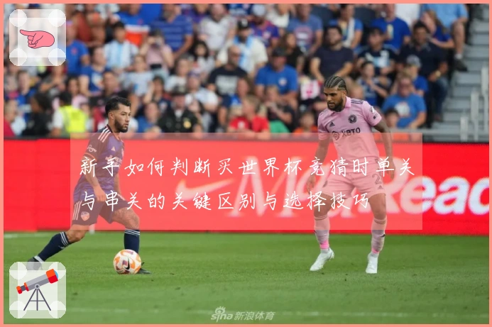 新手如何判断买世界杯竞猜时单关与串关的关键区别与选择技巧
