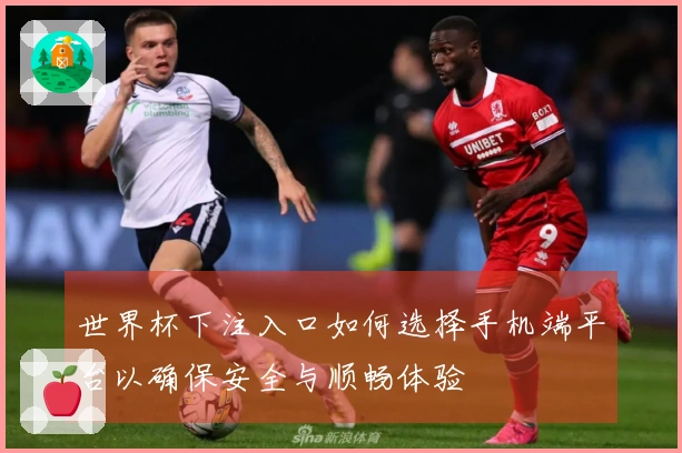 世界杯下注入口如何选择手机端平台以确保安全与顺畅体验