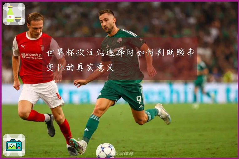 世界杯投注站选择时如何判断赔率变化的真实意义