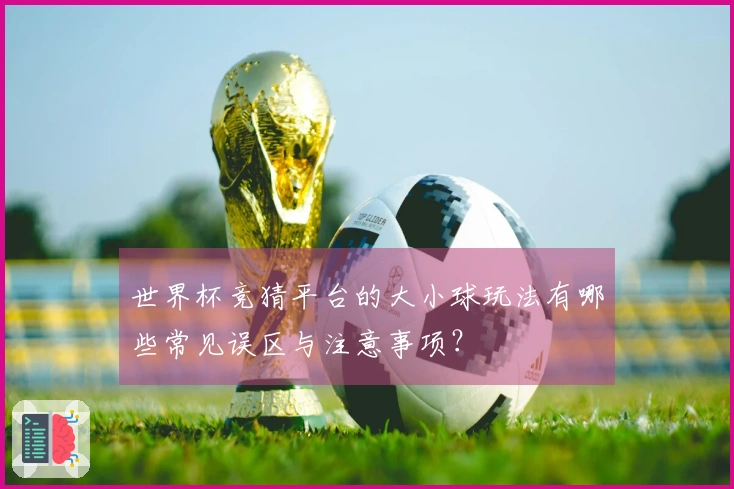 世界杯竞猜平台的大小球玩法有哪些常见误区与注意事项？