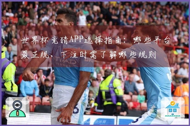 世界杯竞猜APP选择指南：哪些平台最正规、下注时需了解哪些规则