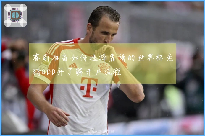 赛前准备如何选择靠谱的世界杯竞猜app并了解开户流程