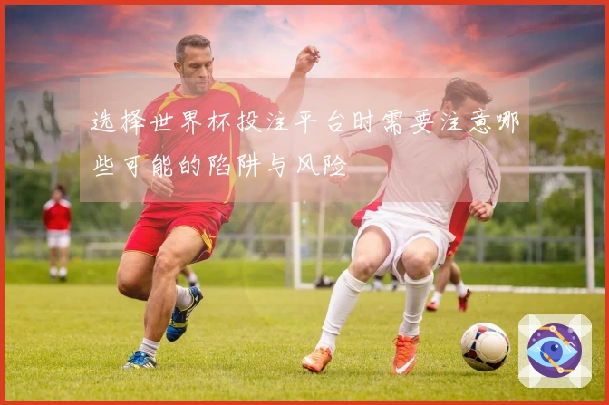 选择世界杯投注平台时需要注意哪些可能的陷阱与风险
