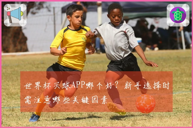 世界杯买球APP哪个好？新手选择时需注意哪些关键因素