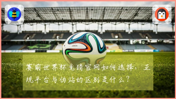 赛前世界杯竞猜官网如何选择，正规平台与伪站的区别是什么？