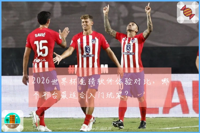 2026世界杯竞猜软件体验对比，哪个平台最适合入门玩家？